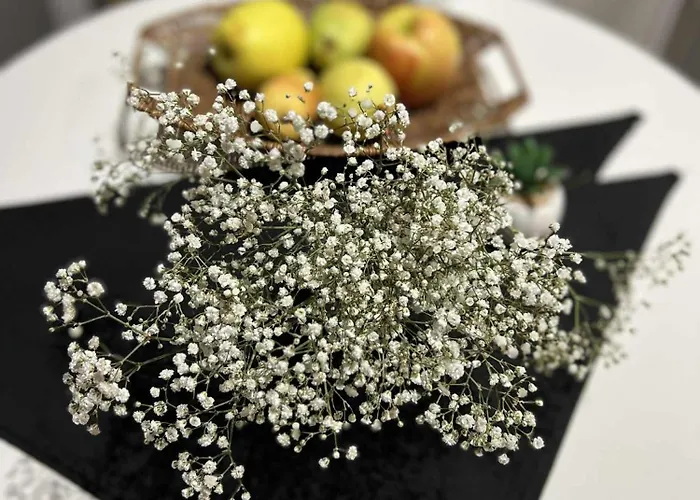 Cozy Place For Nights