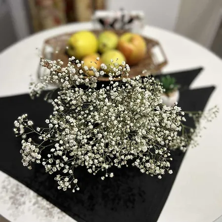 Cozy Place For Nights